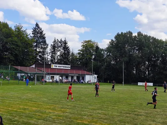 25.08.2024 SG Söhrewald vs. TSV Hertingshausen II