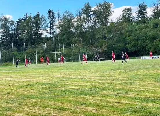 25.08.2024 SG Söhrewald vs. TSV Hertingshausen II